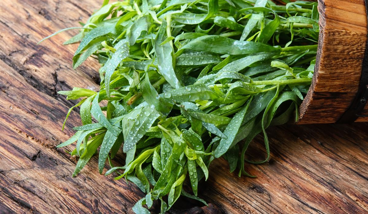 Estragon podkreśli smak wielu dań. To przyprawa, którą wyhodujesz na